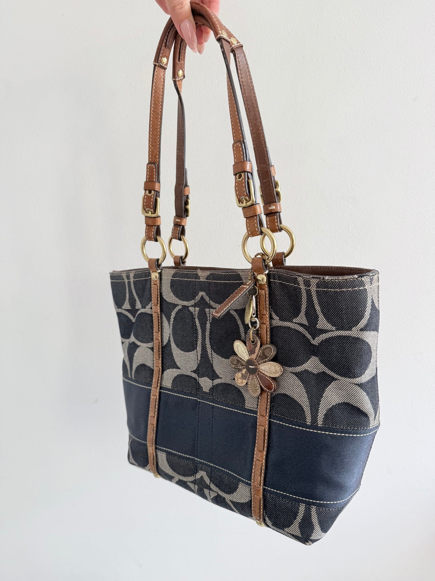 Coach Signature Canvas Tote Bag